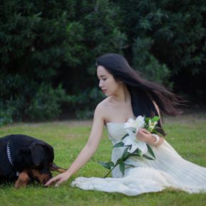 Modern Traditional Photography